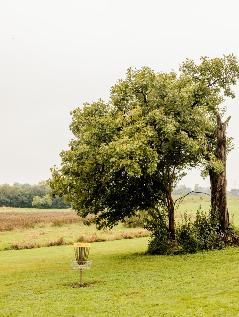 Disc golf basket at Kress Creek in the spring