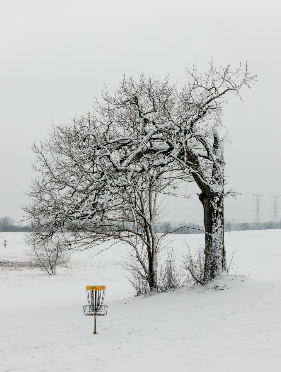 Disc golf basket at Kress Creek in the winter snow
