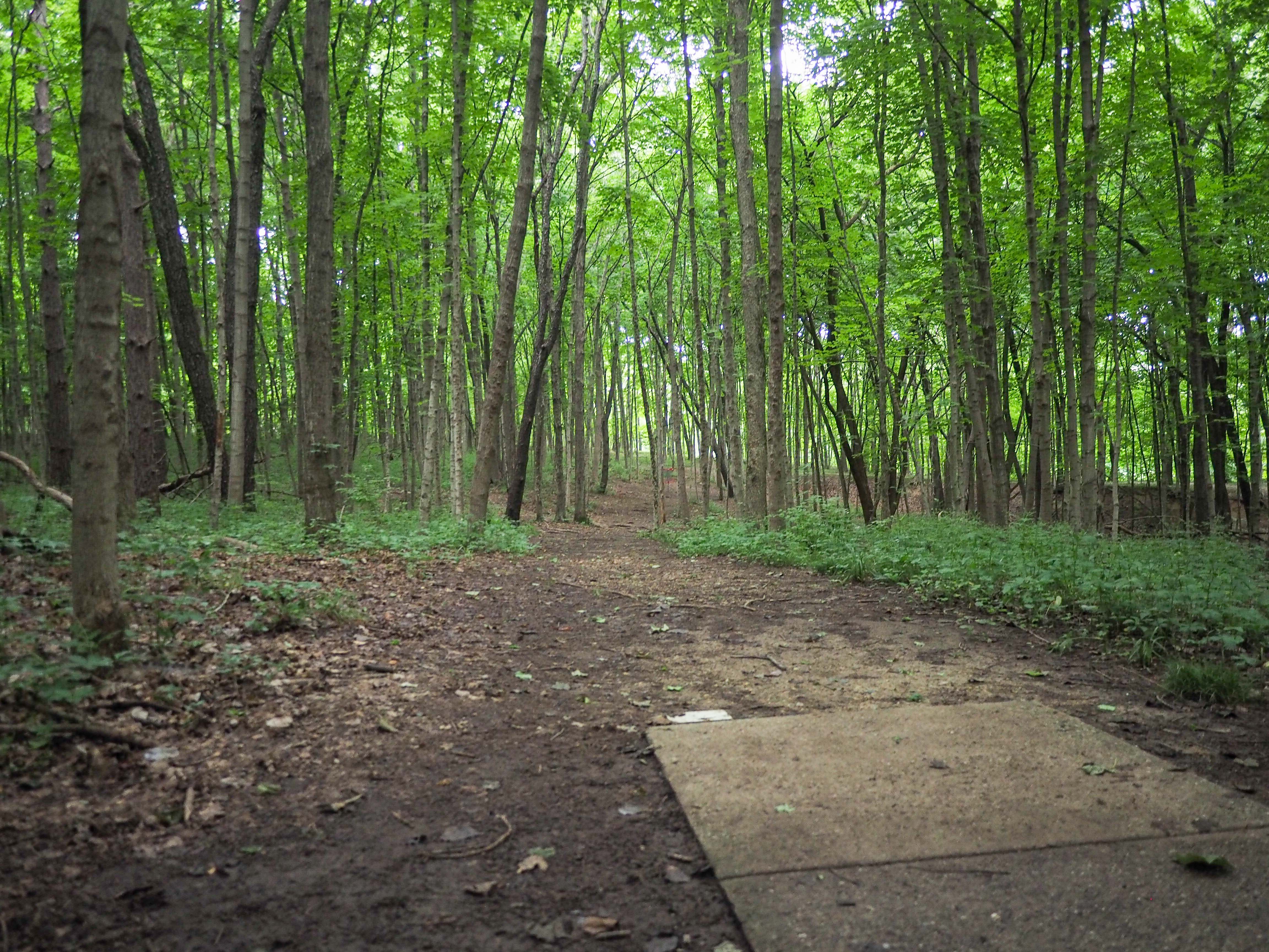 Course Preview Lake Eureka Permanent Ledgestone Disc Golf Open