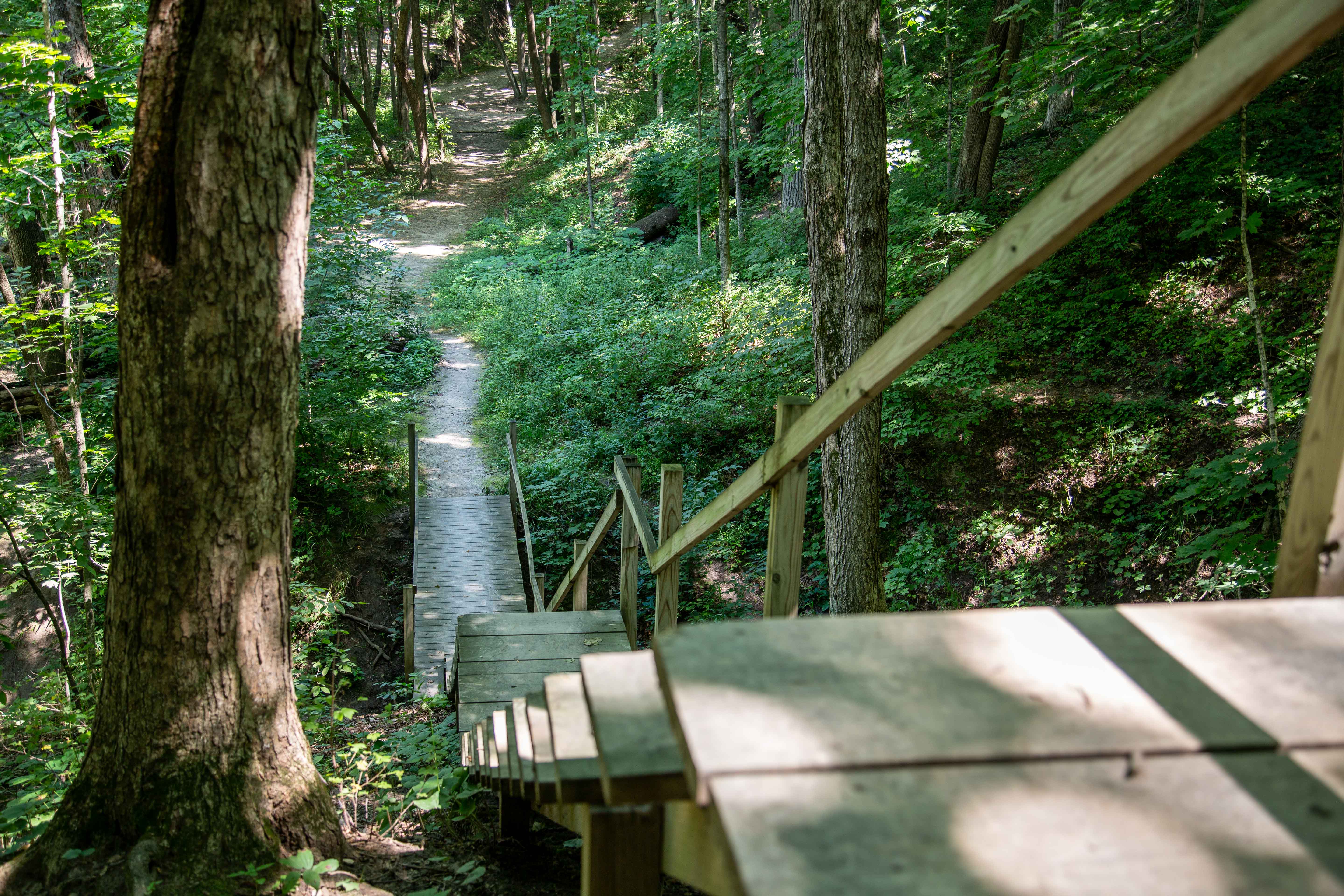 Course Preview Megiddo DGC at Westwood Park Ledgestone Disc Golf Open