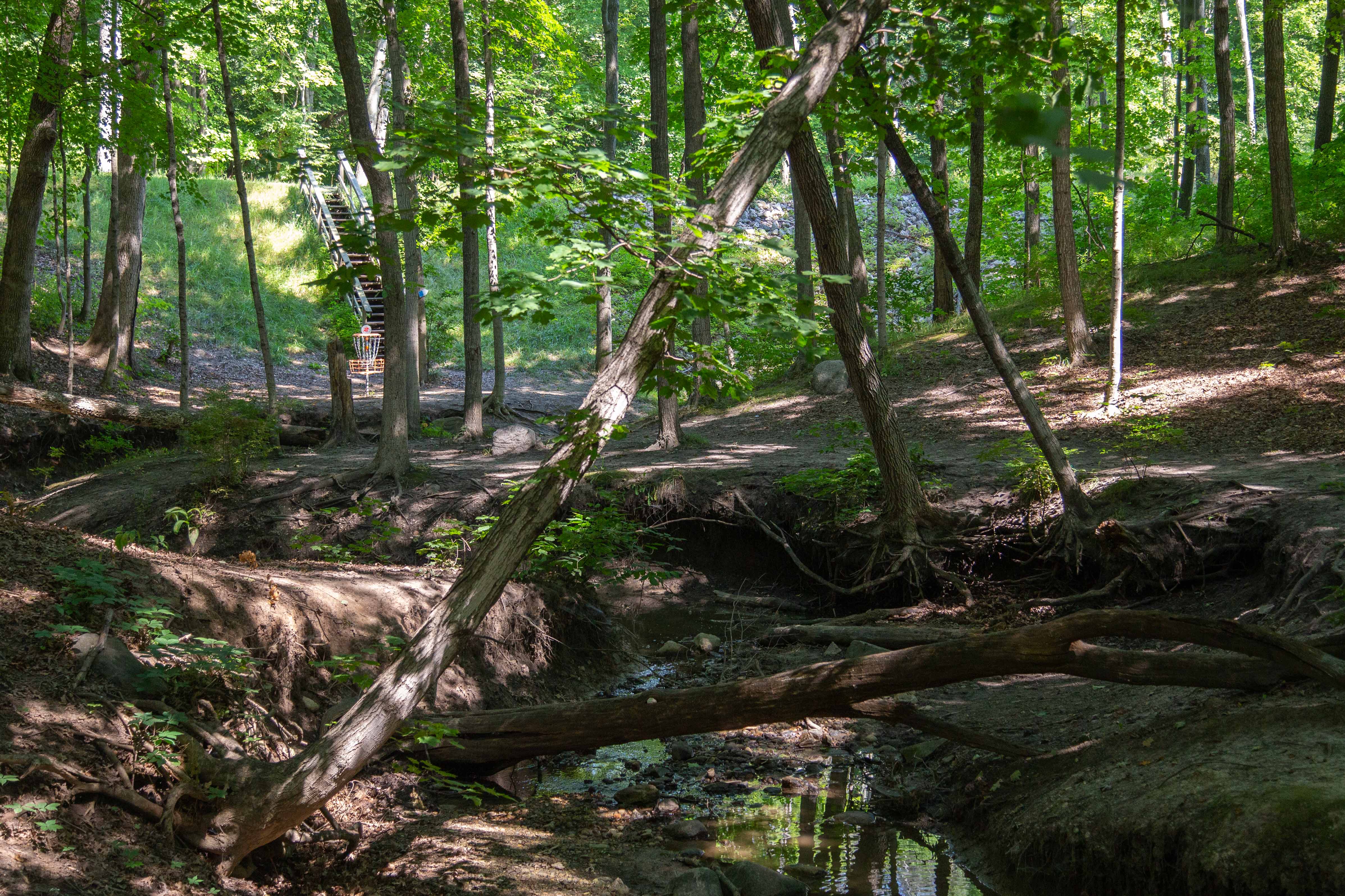 Course Preview Megiddo DGC at Westwood Park Ledgestone Disc Golf Open