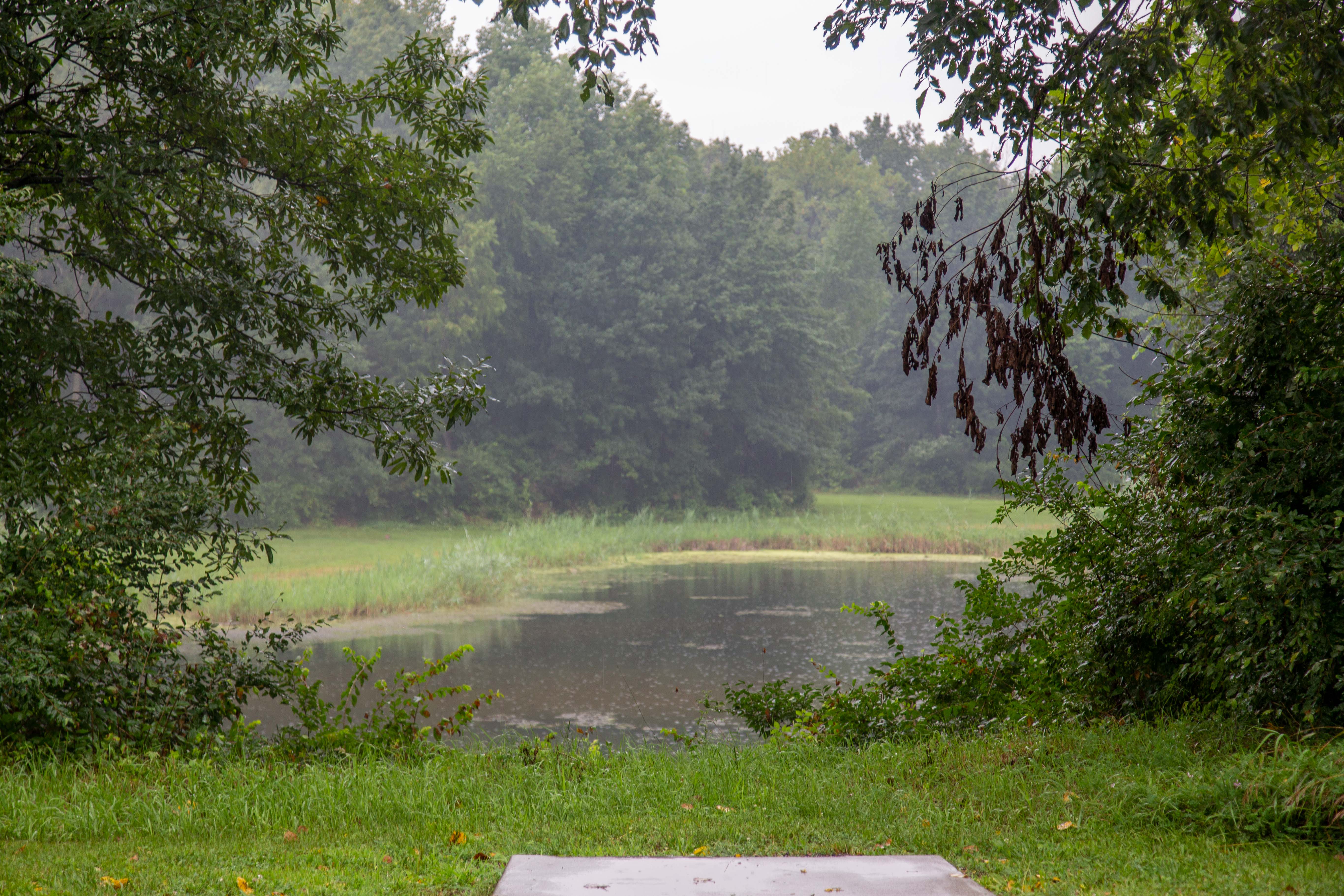 Course Preview Wildlife Prairie Park DGC Ledgestone Disc Golf Open
