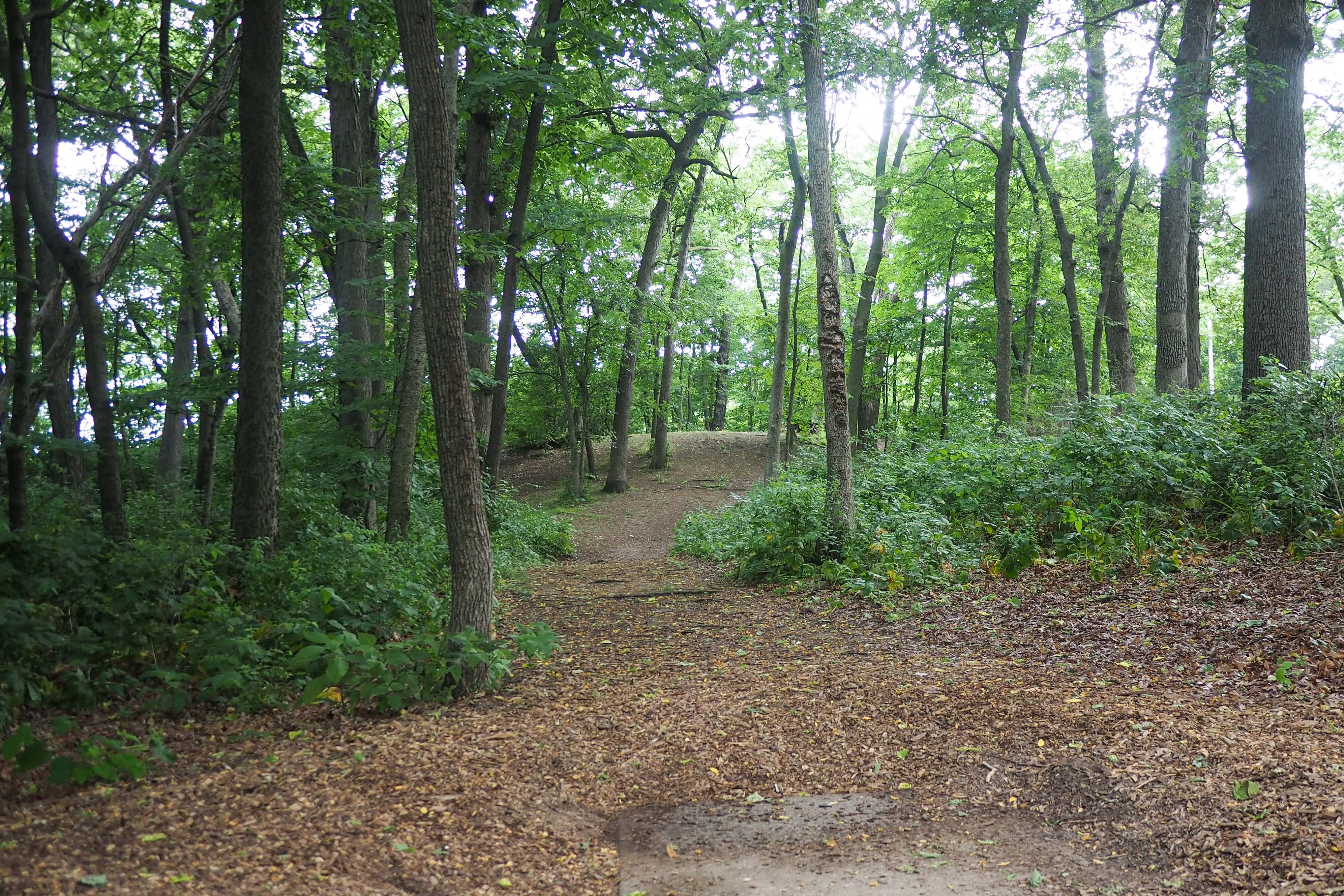 Course Preview Bradley Park DGC Ledgestone Disc Golf Open