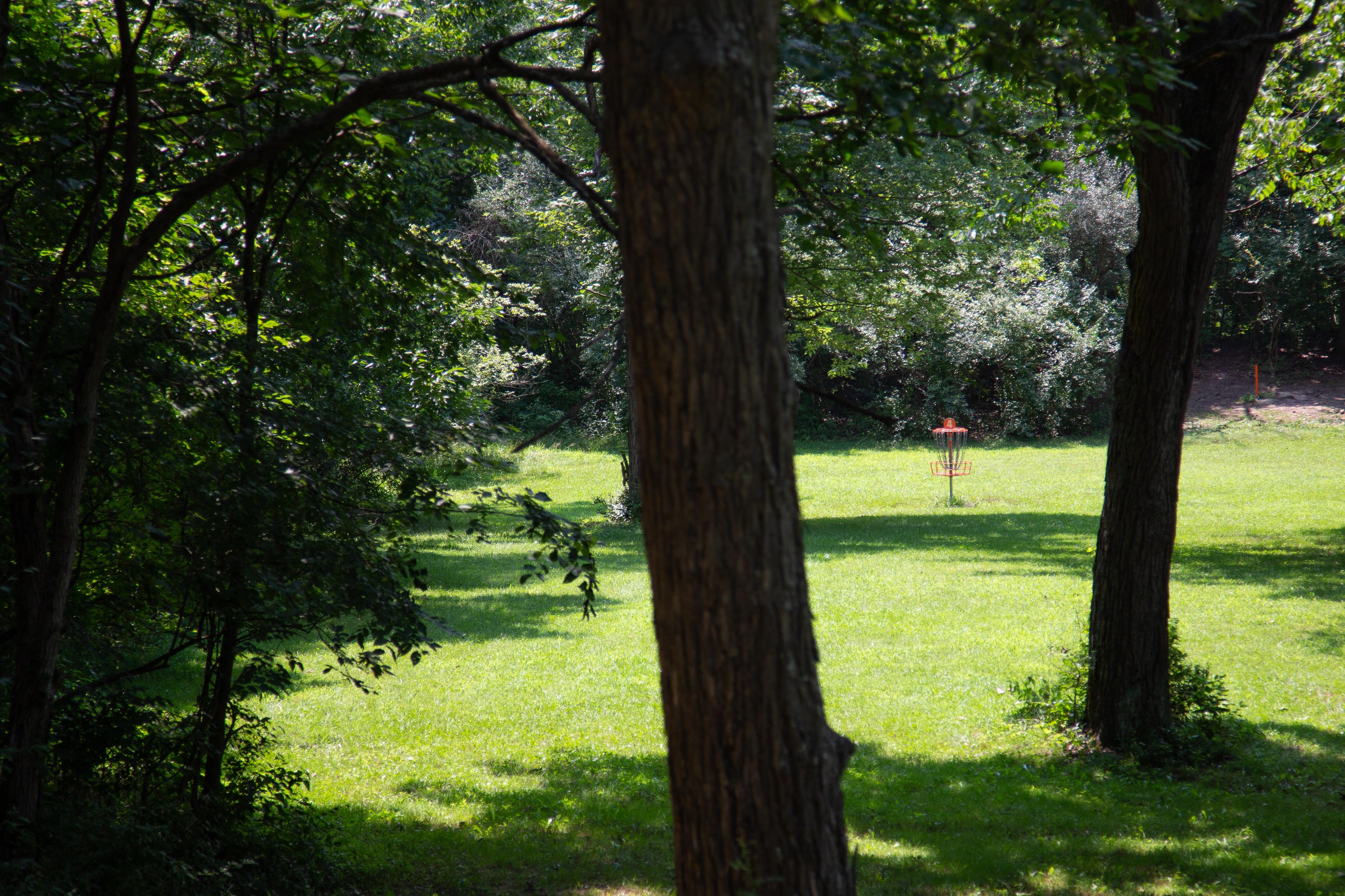 Course Preview McNaughton Park DGC Ledgestone Disc Golf Open