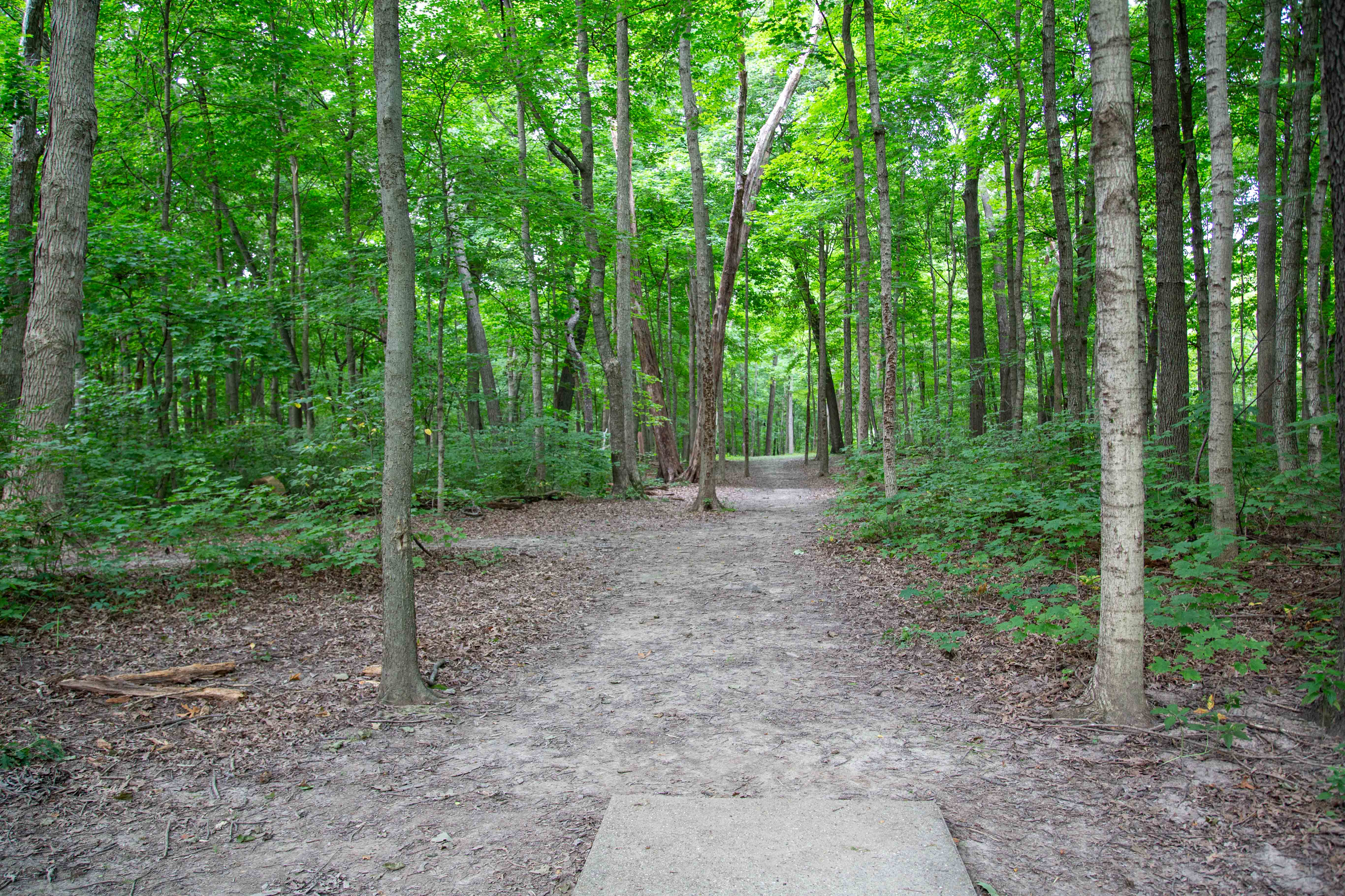 Course Preview Northwood Blue DGC Ledgestone Disc Golf Open