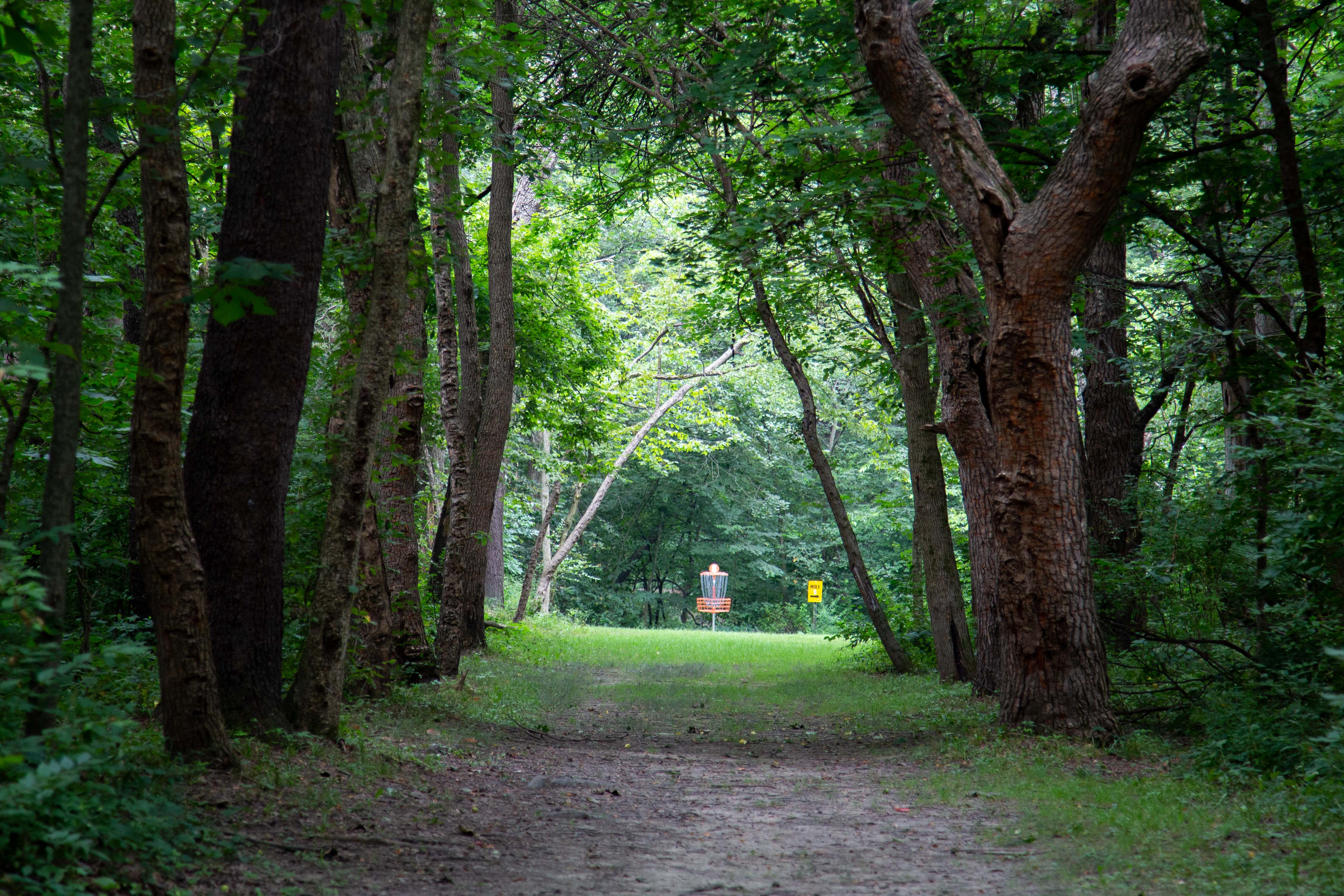 Course Preview Northwood Blue DGC Ledgestone Disc Golf Open